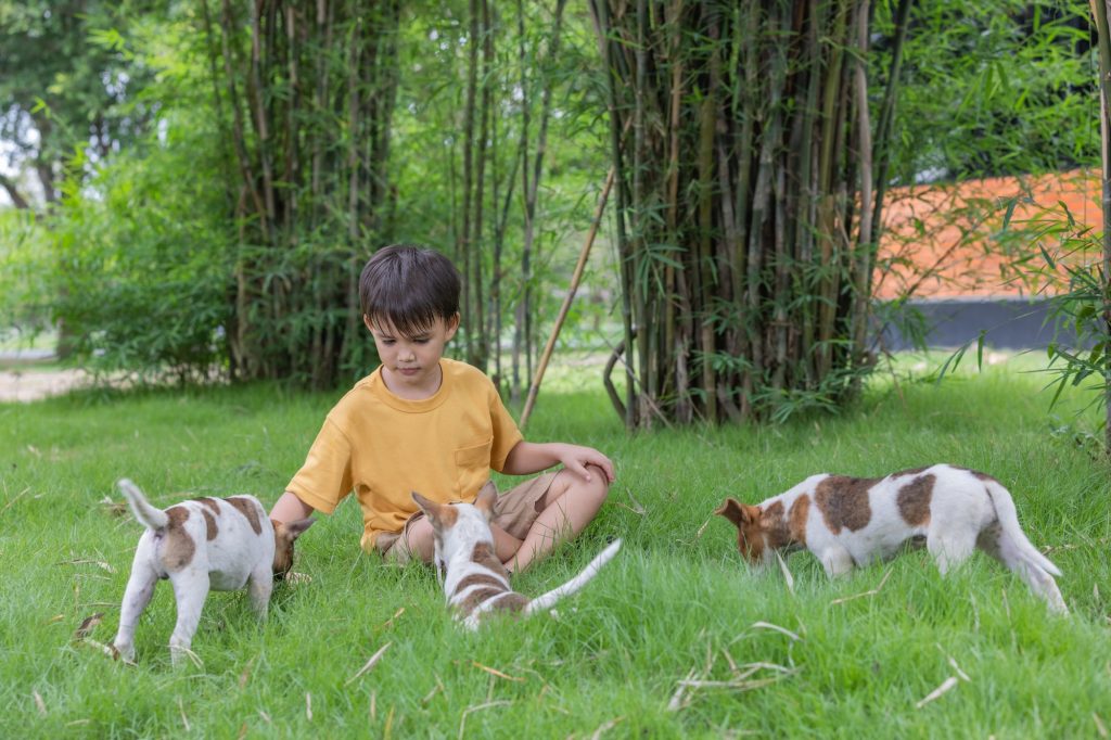 Portrait of boy playing with dog on field in yard